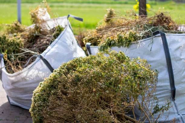 Best Junk Hauling Services  in Gillett, WI